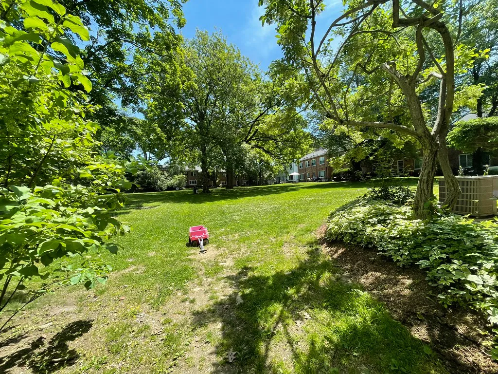 Walking into the backyard from one entrance